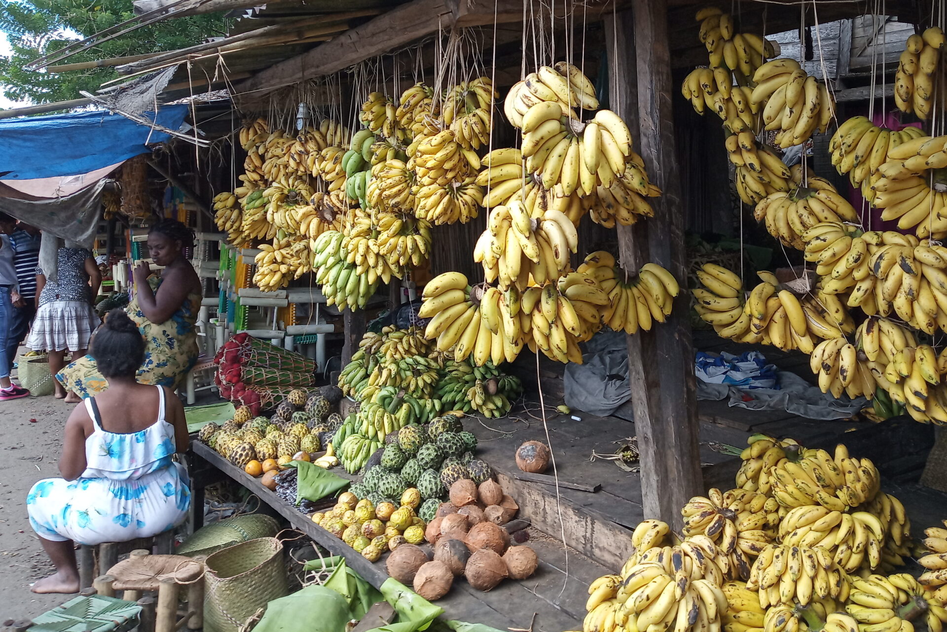 Dégustation des fruits locaux sera possible lors de votre voyage avec nous